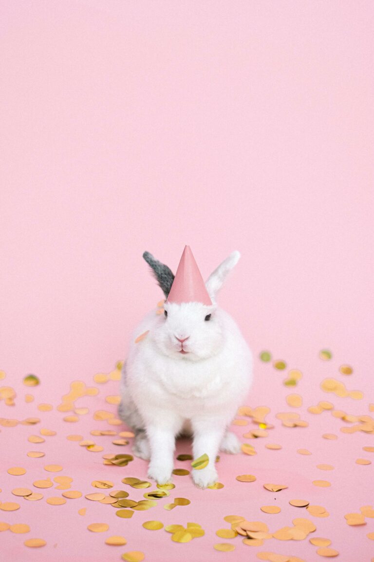 Cute white bunny wearing a party hat surrounded by confetti on a pink background.